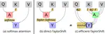 TaylorShift: Shifting the Complexity of Self-Attention from Squared to Linear (and Back) using Taylor-Softmax